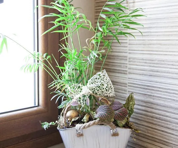 Afroditi Aparthotel Rethymno