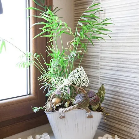 Afroditi מלון דירות העיירה רתימנו